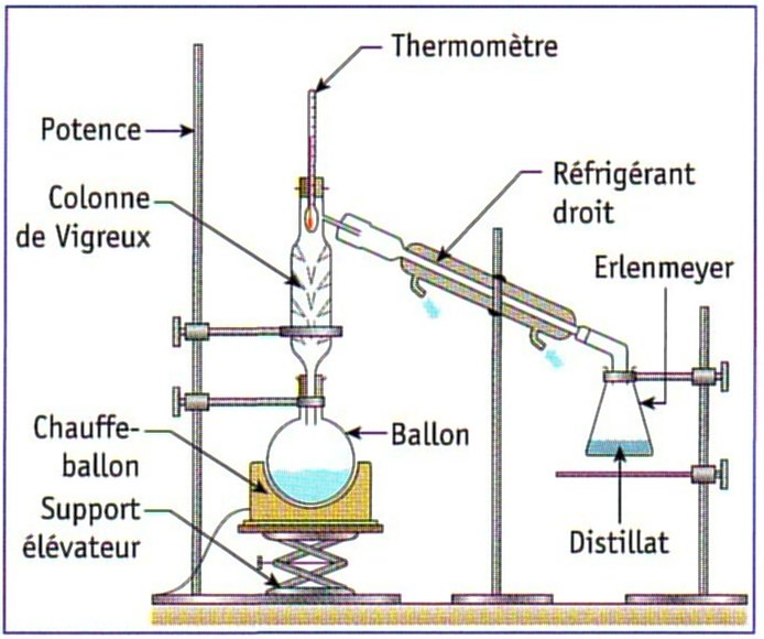 schema